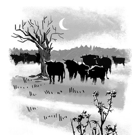 Сергеев «Мои друзья»