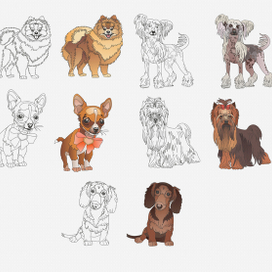 декоративные собачки