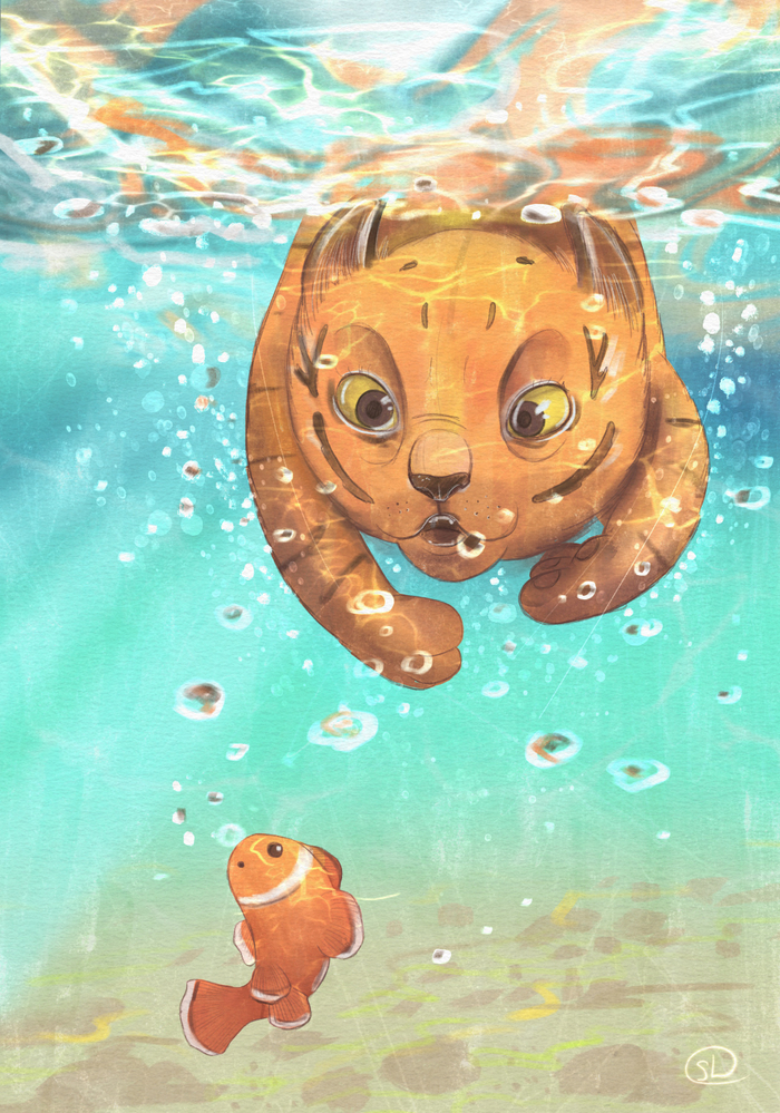 Little tiger Underwater 