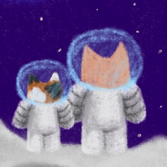 Котики в космосе
