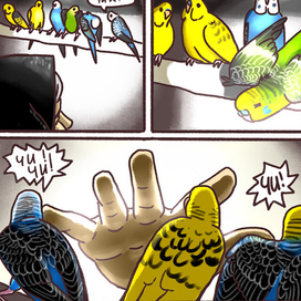 Комикс "Чика" о приключениях волнистого попугайчика