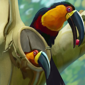 Заботливый тукан)