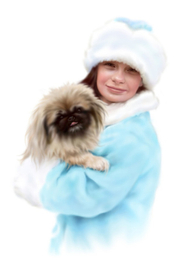 В пелене января