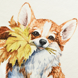 Осенний щенок