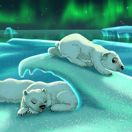 Мишка сбегает на поиски приключений