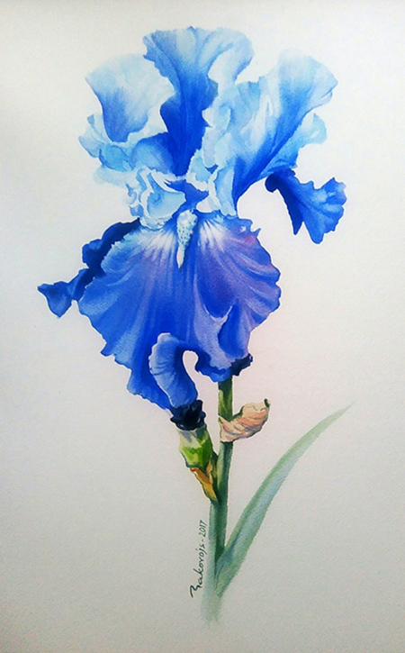 С ПРАЗДНИКОМ 8 МАРТА!