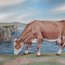 Коровка Хужирская