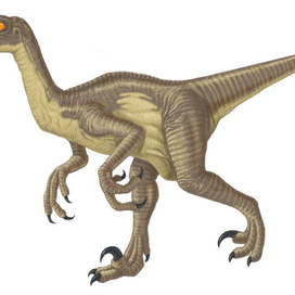 Кто крайний на педикюр?