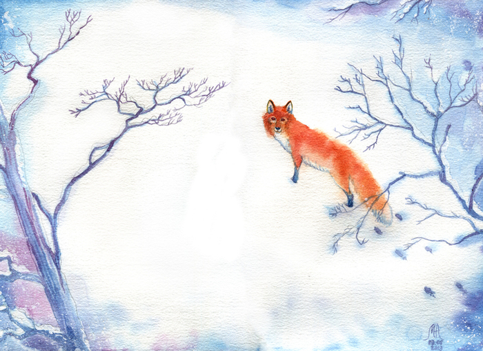 Снежный лис.