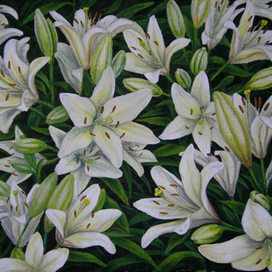 Белые лилии