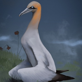 Северная олуша