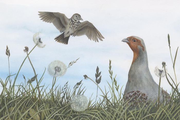 Оранжевое горлышко