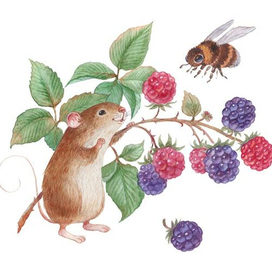 Сладкие ягоды