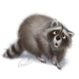 Пушистая енотовость🦝