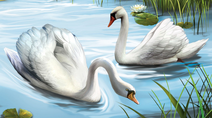 Лебединая пара