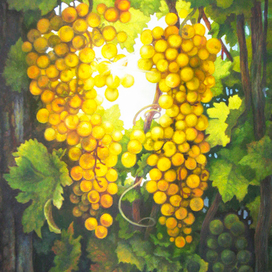 Гроздь винограда и свет янтаря