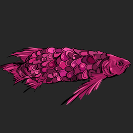 rindabon fish 2.0