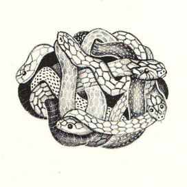 Змеиный клубок