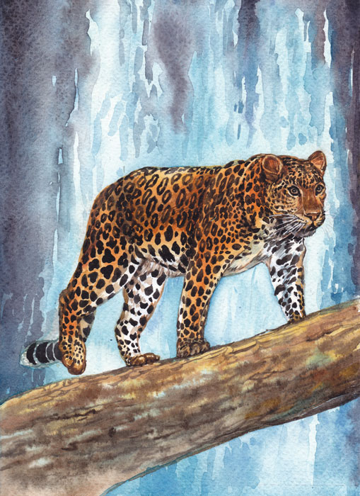 Дальневосточный леопард