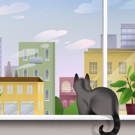 Вид из окна