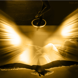 Тени исчезают