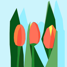 Тюльпаны
