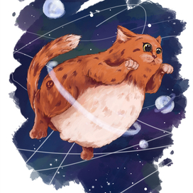 Сферический кот в вакууме