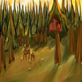 Лес на закате