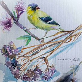 Летние акварельки