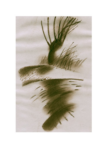 Так много большой воды