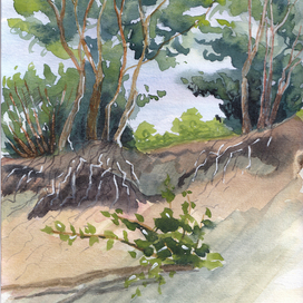 Скетч "Балтика нежная"