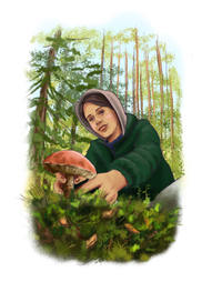 Иллюстрации публикаций, рисунки на заданную тему