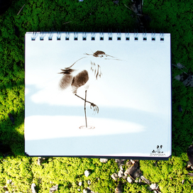 Солнечный денёк