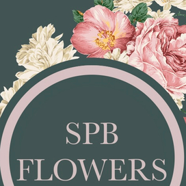 Упаковка профиля Instagram 