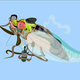 Жук бунтарь 