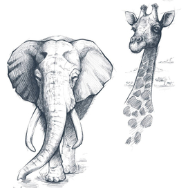 Слон и жираф