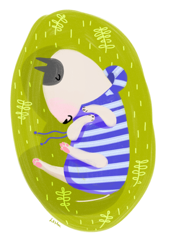 Спящий бультерьер