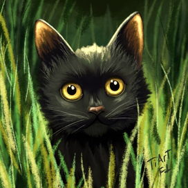 Черныш в траве