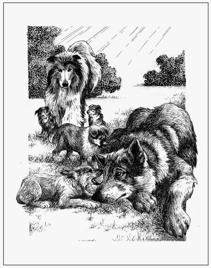 Дремлющий волк. Потомство