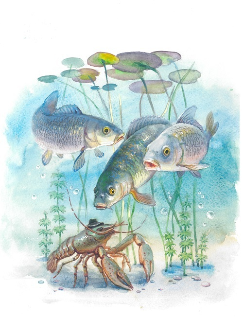 Рассказ рака