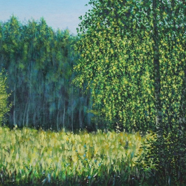 солнечное утро