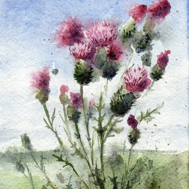 Чертополох