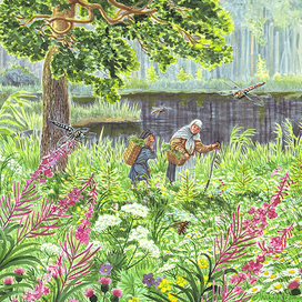 Волшебная сила земли.