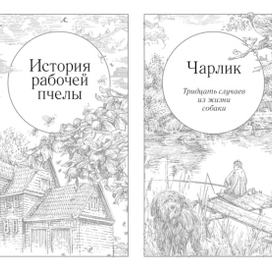 "Долгая дорога домой", (иллюстрации -2)