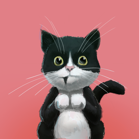 Моя кошка - Мия