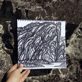 Алтайский альбом.