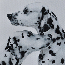 Скрытая Любовь❤️