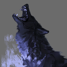 Sketch of a wolf | скетч волка