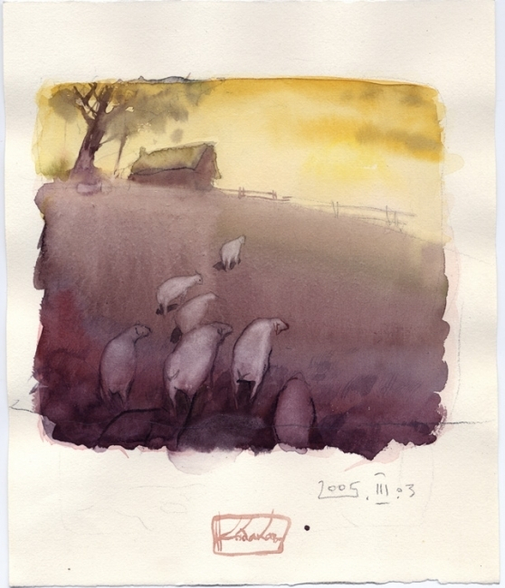 овцы домой возвращаются