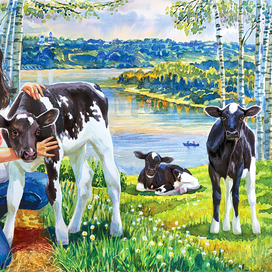 Телята. (для каталога)